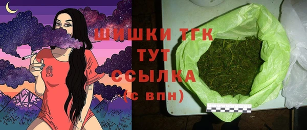 ешки Дмитриев