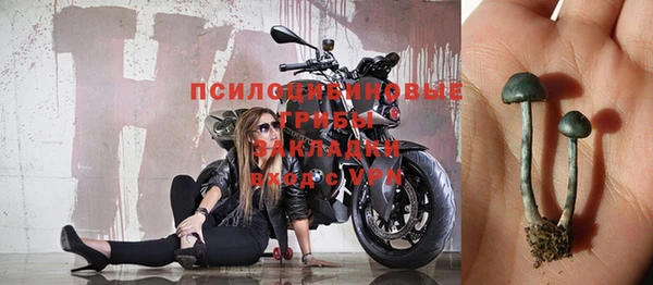 а пвп мука Дмитров
