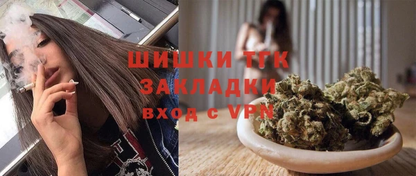 ешки Дмитриев